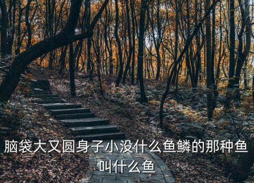 面瓜魚，南瓜蒸面魚的做法南瓜蒸面魚怎么做好吃南瓜