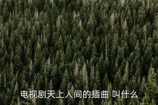天上人間歌曲，還珠格格之天上人間里面的一些歌曲