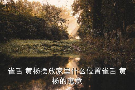雀舌黃楊,春暖花開:舌頭黃楊盛開迎春節