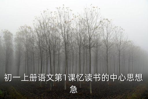 憶讀書教案，憶讀書一課快快快