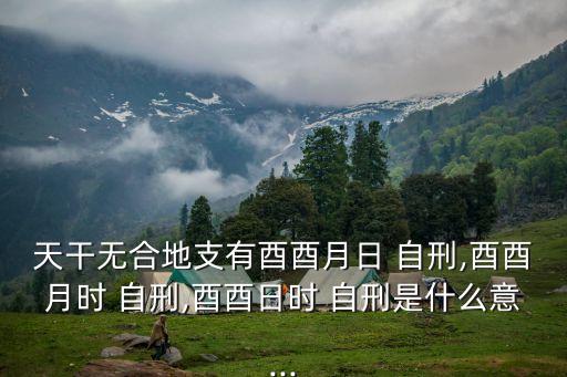 天干無合地支有酉酉月日 自刑,酉酉月時 自刑,酉酉日時 自刑是什么意...
