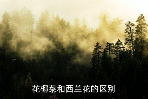 花椰菜和西蘭花的區別，花椰菜和西蘭花的區別