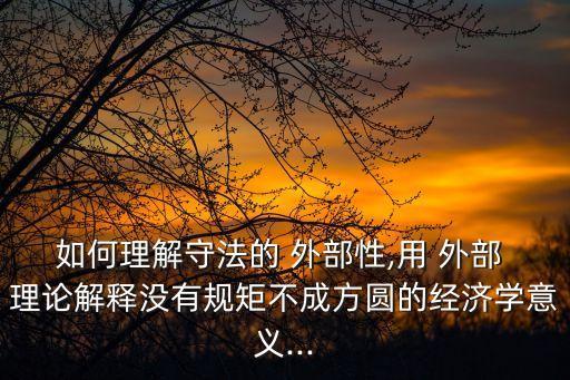 如何理解守法的 外部性,用 外部 理論解釋沒有規矩不成方圓的經濟學意義...