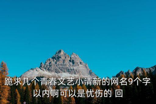 跪求幾個青春文藝小清新的網名9個字以內啊可以是憂傷的 回