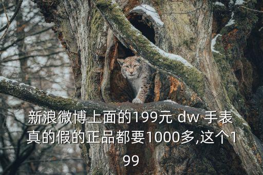 dw手表多少錢,dw旗艦店雙十一半價500元真表更薄