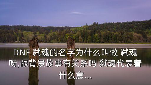 弒魂,阿德拉大陸巫統分為四種類型被詛咒的氏族
