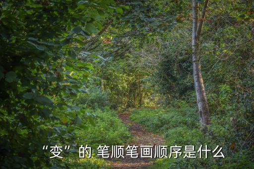 “變”的 筆順筆畫順序是什么