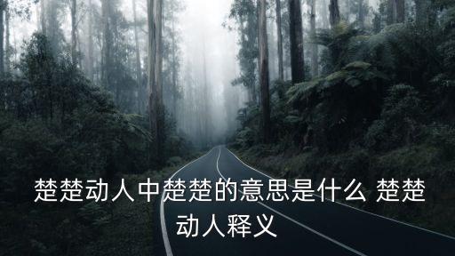 楚楚動(dòng)人的意思,楚楚動(dòng)人:男子被女子誘惑過
