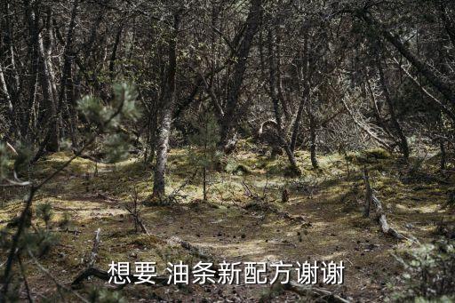 放心油條,雙層油炸花條膨脹度不到雙根油條一半