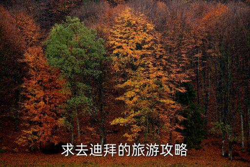迪拜旅游攻略，求去迪拜的旅游攻略
