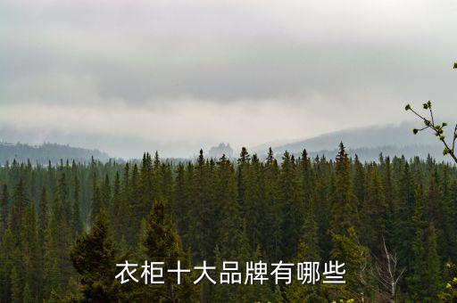  衣柜十大品牌有哪些
