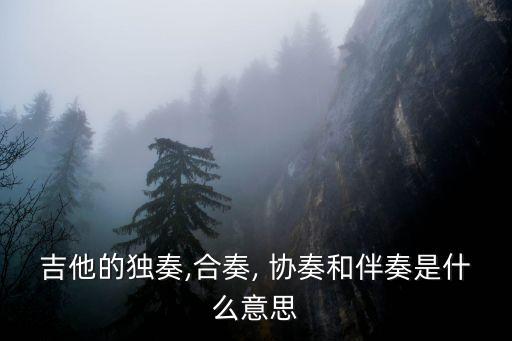 協奏,意大利古典音樂協奏song出現在民間