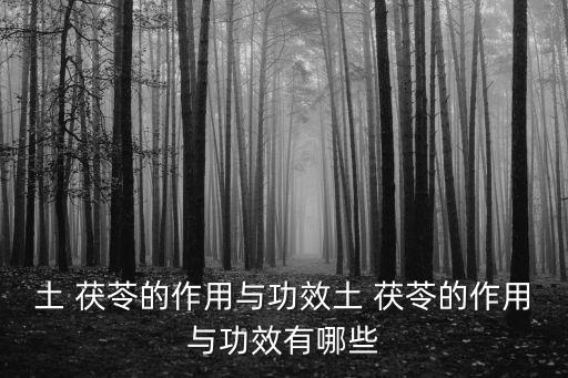 土茯苓的功效,地地茯苓入藥三分之一可入饌