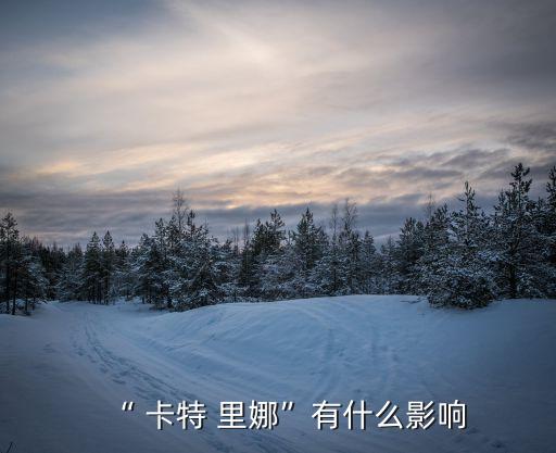 “ 卡特 里娜”有什么影響