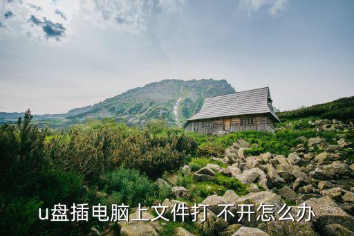 u盤打不開,u盤插入電腦后打不開電話
