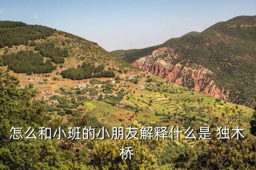 怎么和小班的小朋友解釋什么是 獨木橋