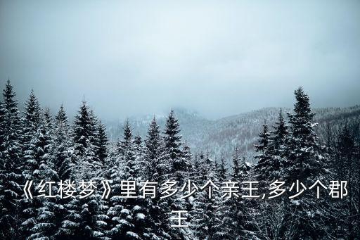 忠順王爺,五郡王出現在葬禮上忠順王位列南安郡王后