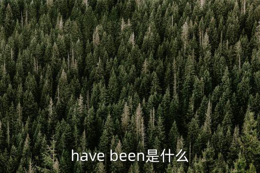 havebeen，have been是什么意思啊
