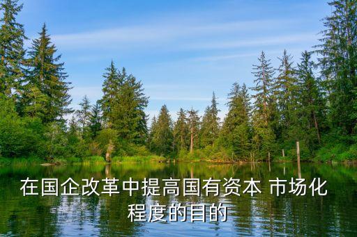 市場化程度,市場化不等于資本主義