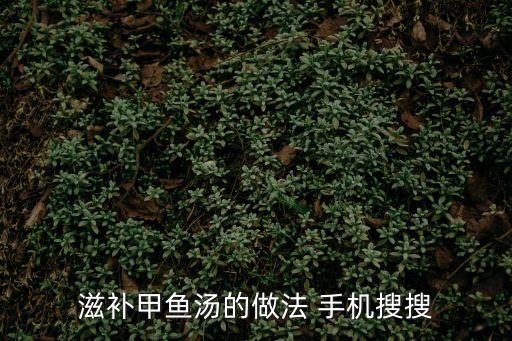 滋補(bǔ)甲魚湯的做法 手機(jī)搜搜