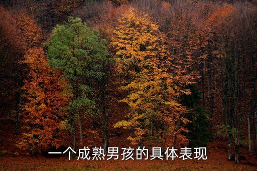 一個成熟男孩的具體表現