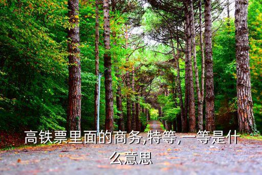高鐵列車圖片,高鐵動車組配置一等座和二等座的區別