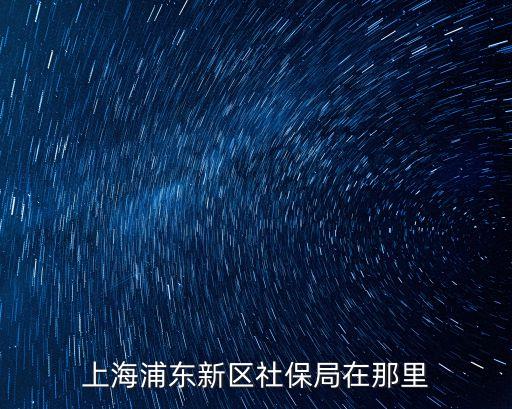 上海浦東新區社保局在那里