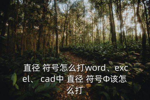  直徑 符號怎么打word、excel、 cad中 直徑 符號Φ該怎么打