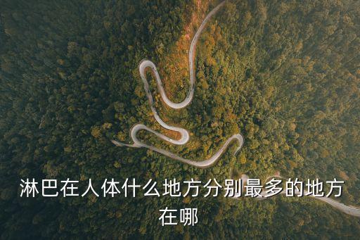 淋巴是什么,淋巴結(jié)是哺乳動(dòng)物重要的免疫器官