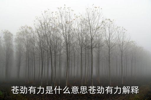 蒼勁有力是什么意思蒼勁有力解釋
