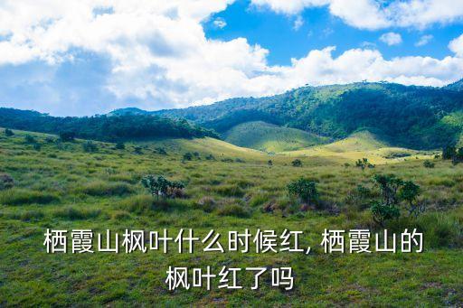 棲霞山門票,南京棲霞山楓葉紅了嗎?
