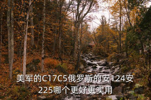 美軍的C17C5俄羅斯的安124安225哪個(gè)更好更實(shí)用