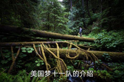 美國夢十一隊的介紹