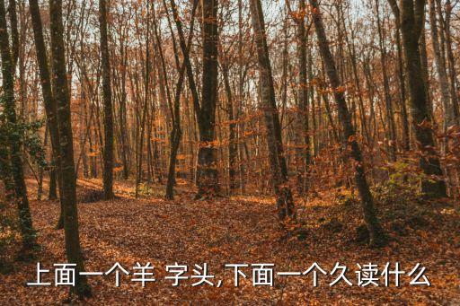 上面一個羊 字頭,下面一個久讀什么