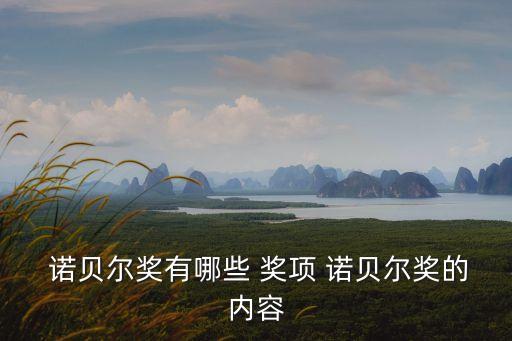諾貝爾獎有哪些獎項