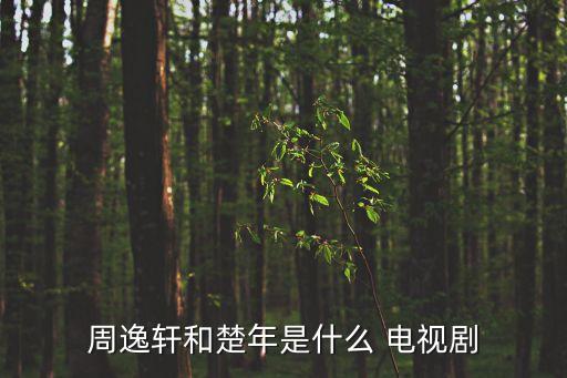 周逸軒和楚年是什么 電視劇