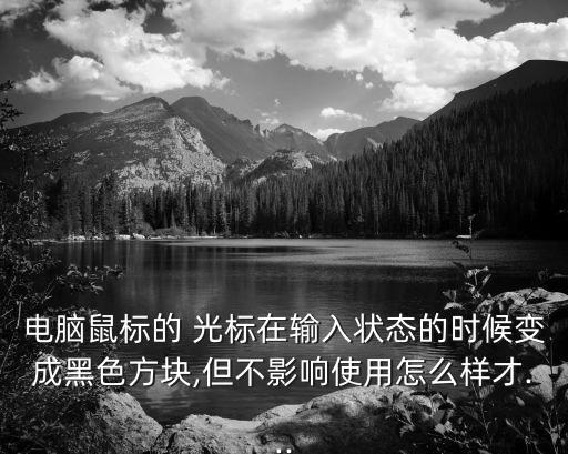 電腦鼠標的 光標在輸入狀態的時候變成黑色方塊,但不影響使用怎么樣才...