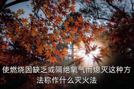 窒息滅火法，使燃燒因缺乏或隔絕氧氣而熄滅這種方法稱作什么滅火法