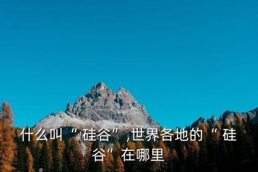 硅谷,記者拼寫錯(cuò)誤美國(guó)前十年被誤稱為硅谷
