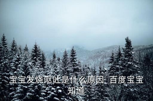 寶寶發燒嘔吐是什么原因  百度寶寶知道