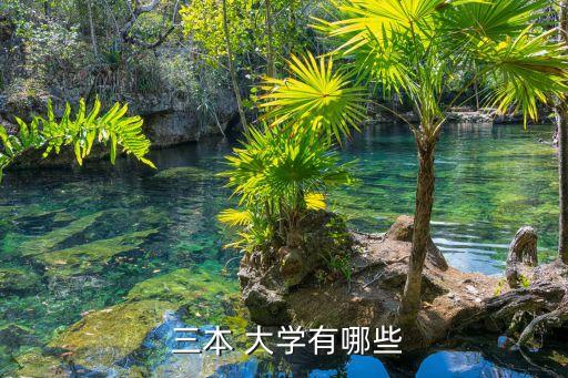 上海三本大學(xué),上海建橋?qū)W院20年前不競(jìng)爭(zhēng)進(jìn)入大學(xué)