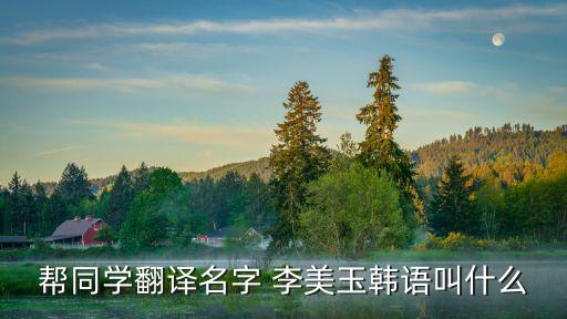 幫同學翻譯名字 李美玉韓語叫什么