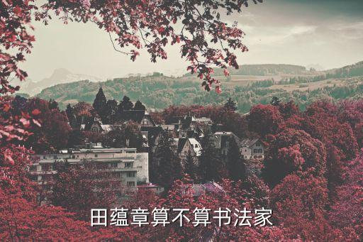 田蔭亭,年輕學者攻擊歐洲書籍齋主人介紹