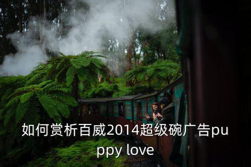 如何賞析百威2014超級碗廣告puppy love