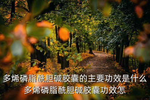 多烯磷脂酰膽堿膠囊的主要功效是什么多烯磷脂酰膽堿膠囊功效怎