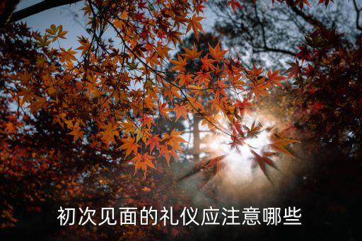 初次見面，初次見面怎么說
