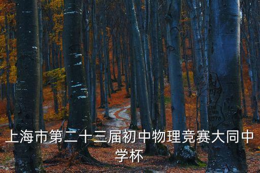 上海市第二十三屆初中物理競賽大同中學杯