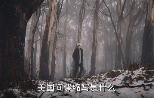 美國間諜縮寫是什么