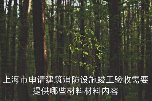 上海市申請建筑消防設施竣工驗收需要提供哪些材料材料內容