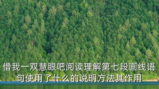 慧眼閱讀，慧眼閱讀機多少錢